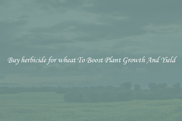 Buy herbicide for wheat To Boost Plant Growth And Yield