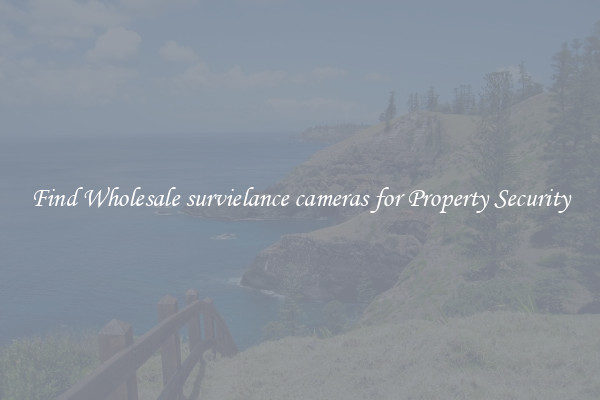 Find Wholesale survielance cameras for Property Security