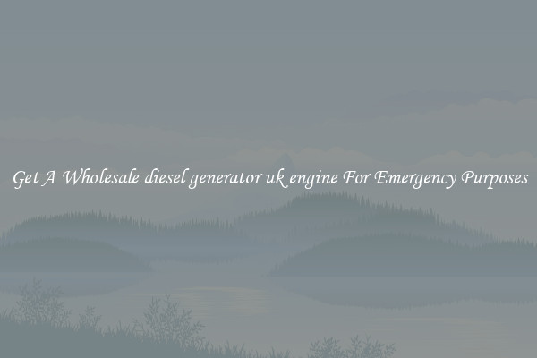 Get A Wholesale diesel generator uk engine For Emergency Purposes