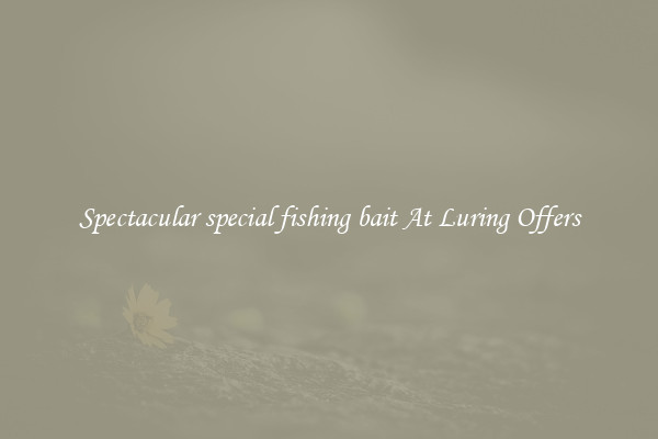 Spectacular special fishing bait At Luring Offers