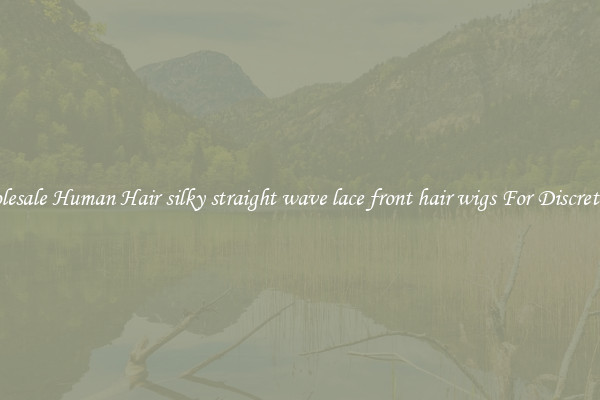 Wholesale Human Hair silky straight wave lace front hair wigs For Discreteness