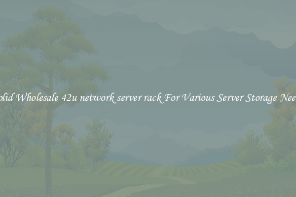 Solid Wholesale 42u network server rack For Various Server Storage Needs