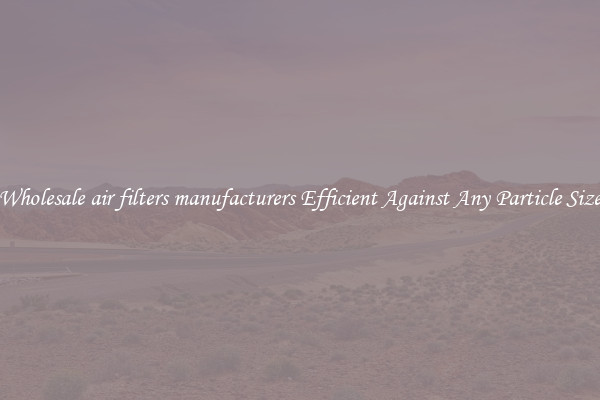 Wholesale air filters manufacturers Efficient Against Any Particle Size