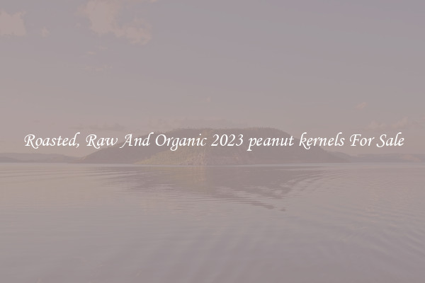 Roasted, Raw And Organic 2023 peanut kernels For Sale