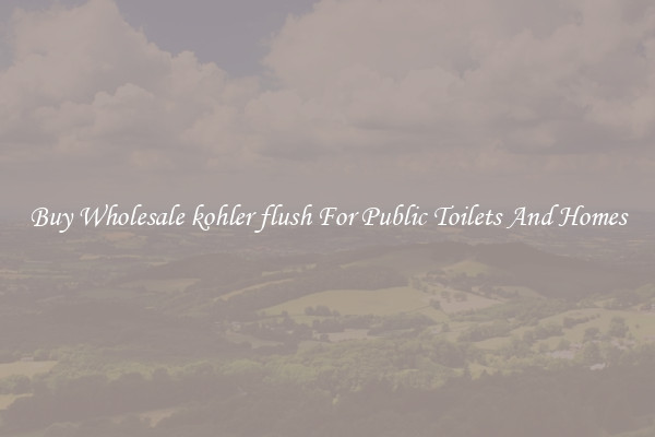 Buy Wholesale kohler flush For Public Toilets And Homes