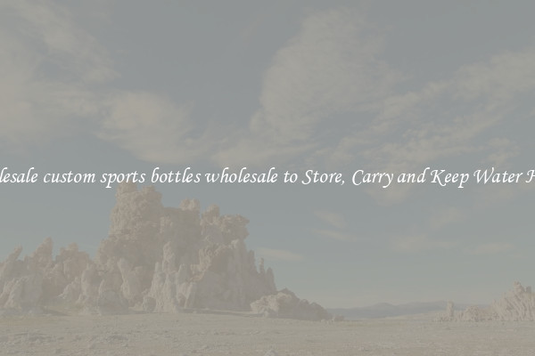 Wholesale custom sports bottles wholesale to Store, Carry and Keep Water Handy