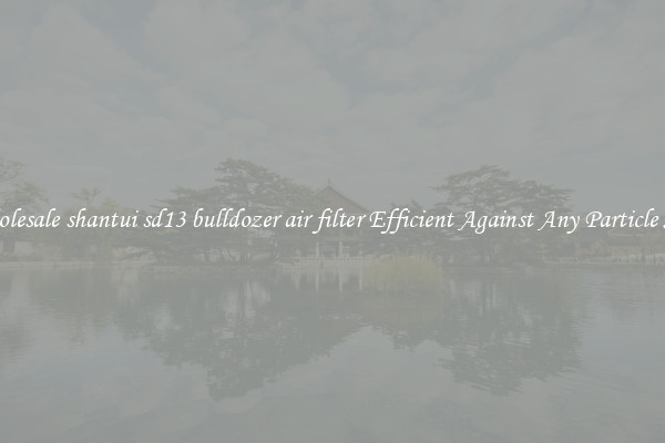 Wholesale shantui sd13 bulldozer air filter Efficient Against Any Particle Size