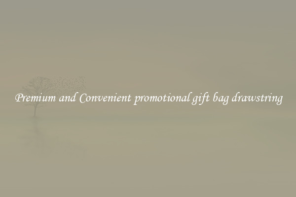 Premium and Convenient promotional gift bag drawstring