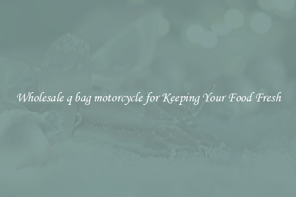 Wholesale q bag motorcycle for Keeping Your Food Fresh
