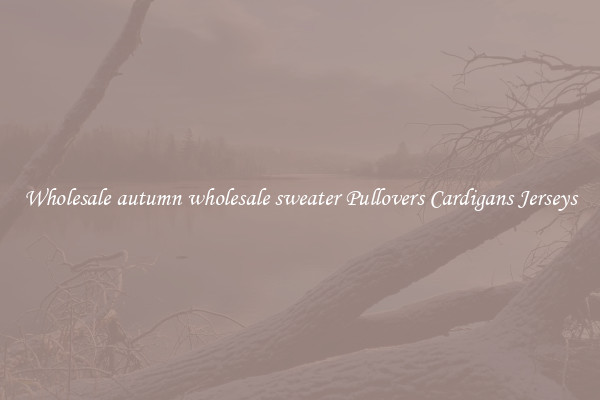 Wholesale autumn wholesale sweater Pullovers Cardigans Jerseys