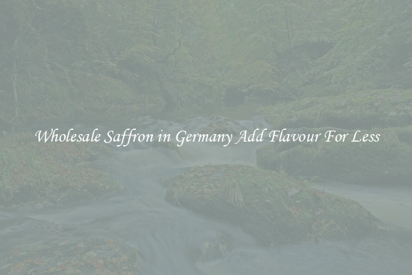 Wholesale Saffron in Germany Add Flavour For Less