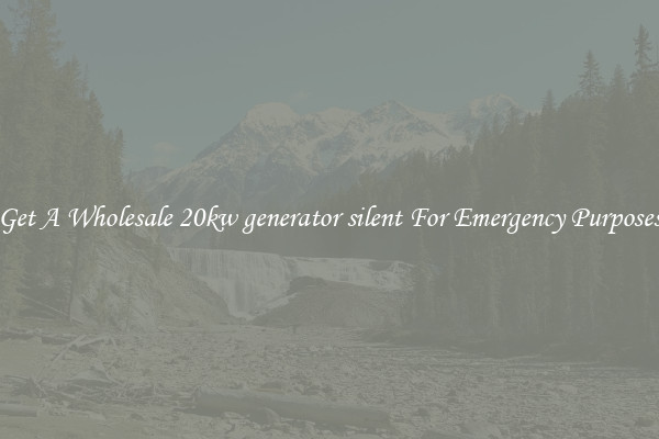 Get A Wholesale 20kw generator silent For Emergency Purposes