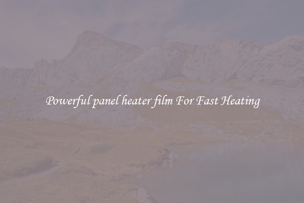 Powerful panel heater film For Fast Heating
