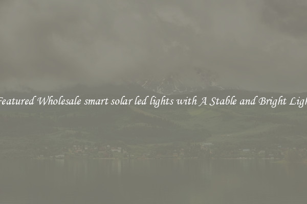 Featured Wholesale smart solar led lights with A Stable and Bright Light