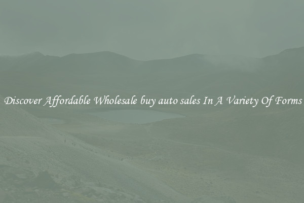 Discover Affordable Wholesale buy auto sales In A Variety Of Forms