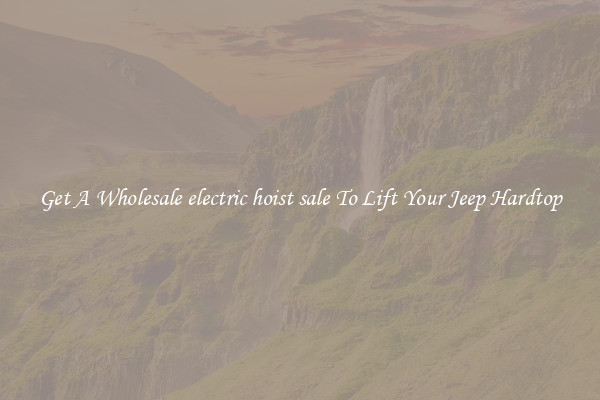 Get A Wholesale electric hoist sale To Lift Your Jeep Hardtop