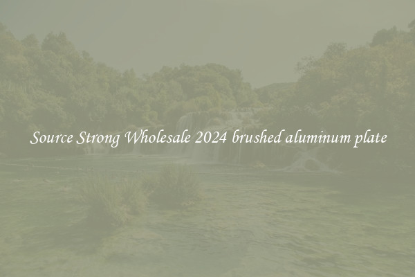 Source Strong Wholesale 2024 brushed aluminum plate