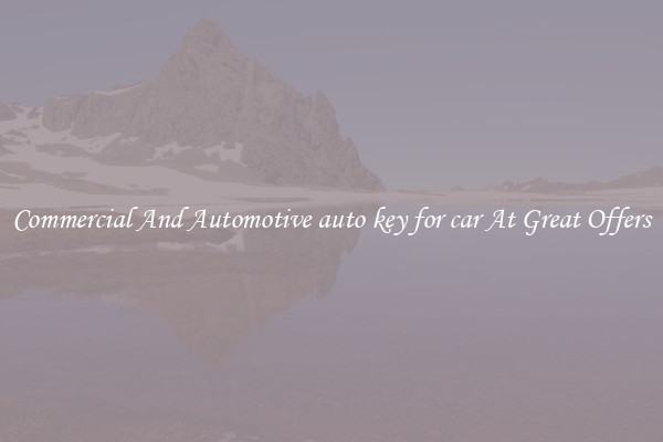 Commercial And Automotive auto key for car At Great Offers