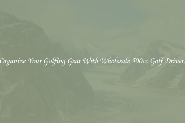 Organize Your Golfing Gear With Wholesale 500cc Golf Drivers