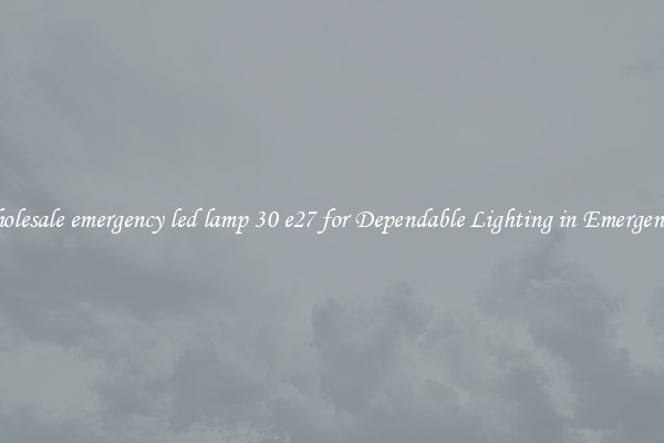 Wholesale emergency led lamp 30 e27 for Dependable Lighting in Emergencies