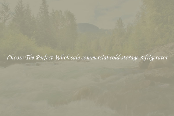 Choose The Perfect Wholesale commercial cold storage refrigerator